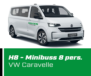 H7 Multivan